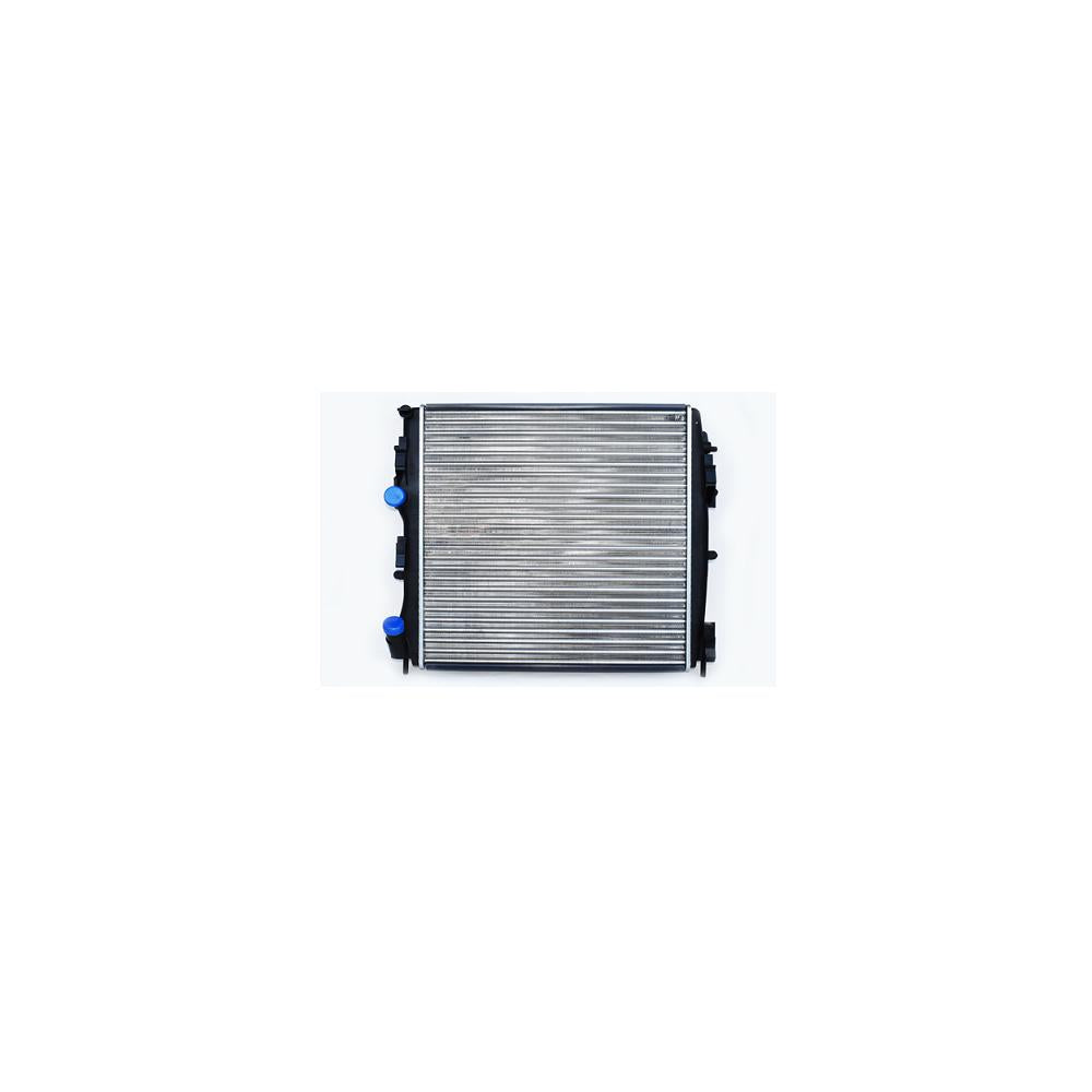 Radiator motor Asam Automotive 79829