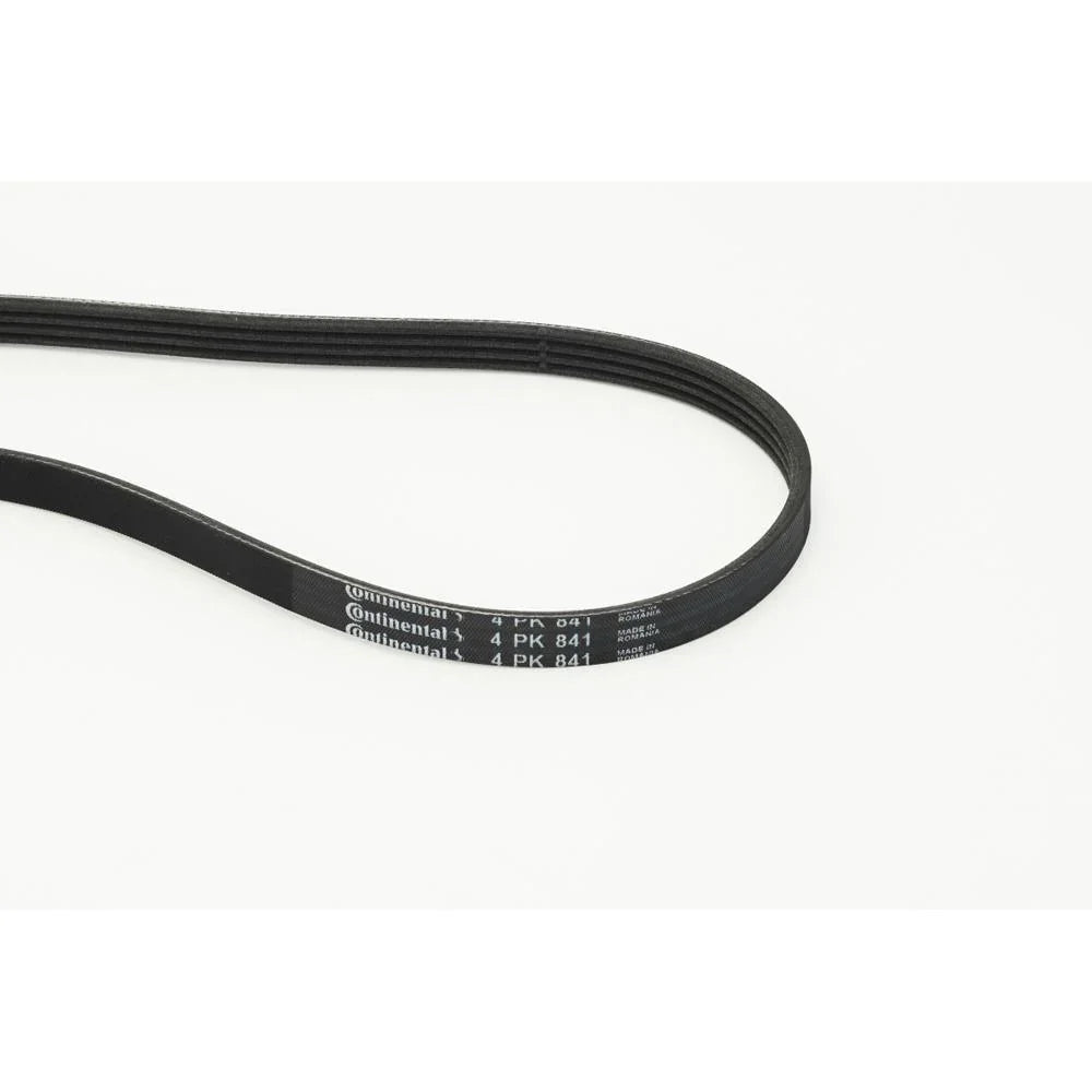 BELTPIC_4PK841_jpg