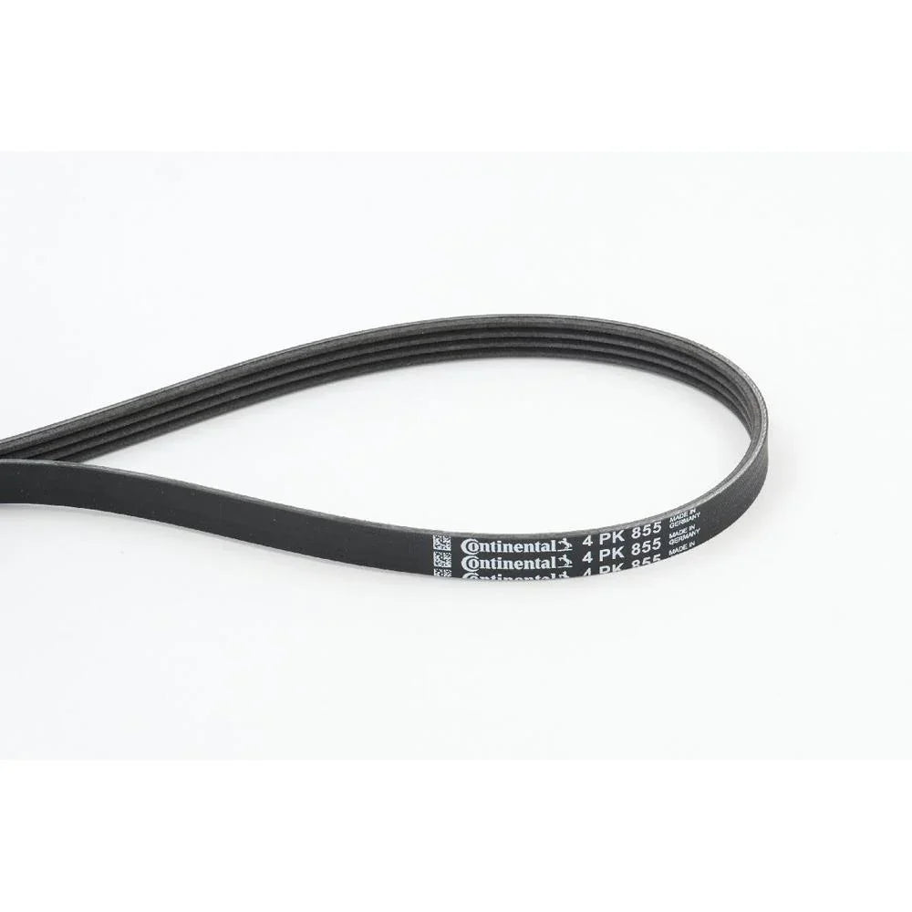 BELTPIC_4PK855_jpg