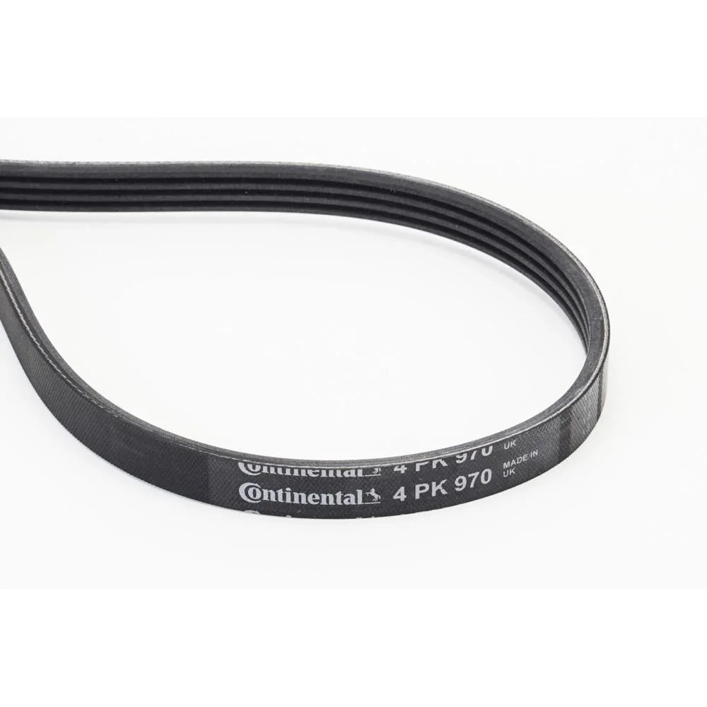 BELTPIC_4PK970_jpg