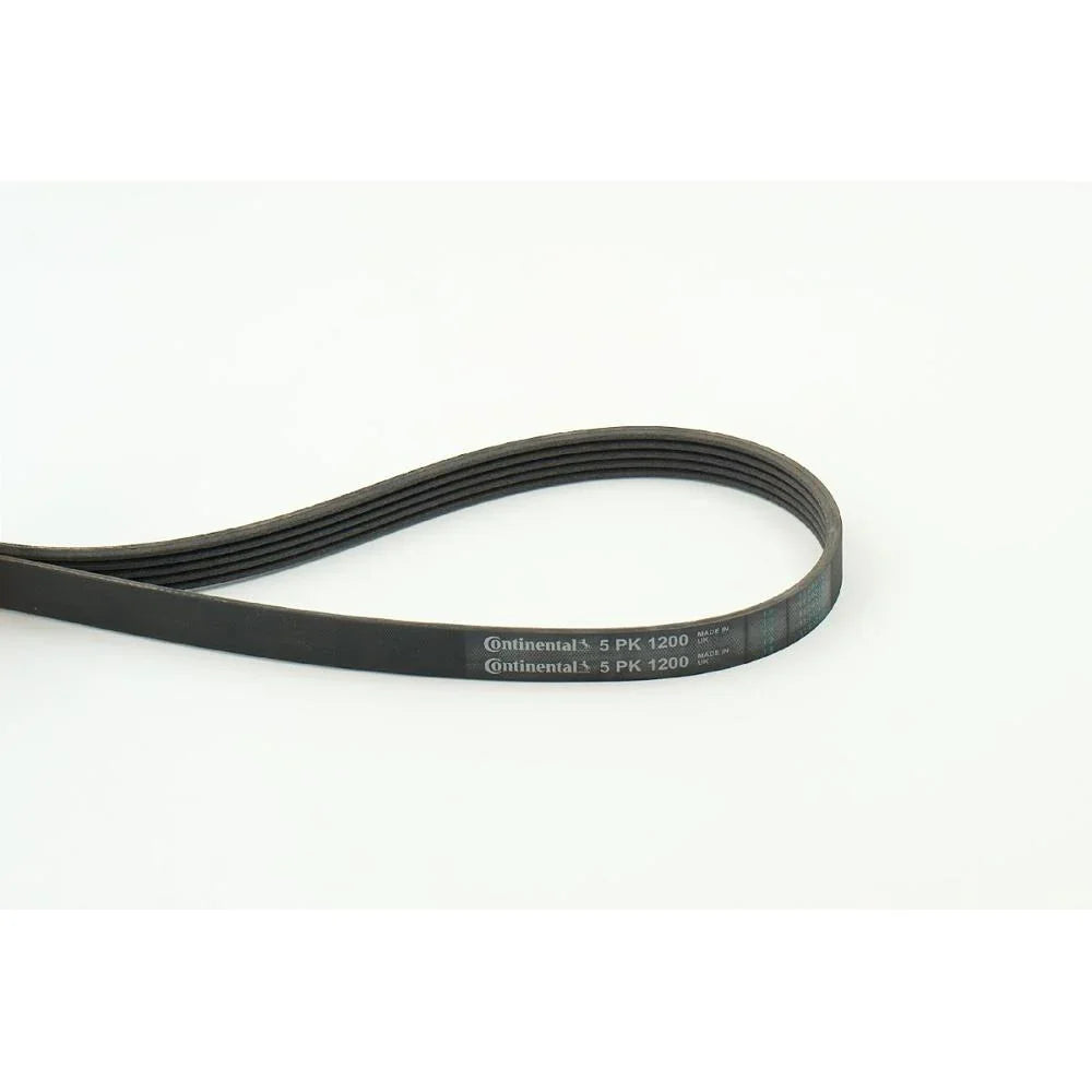 BELTPIC_5PK1200_jpg