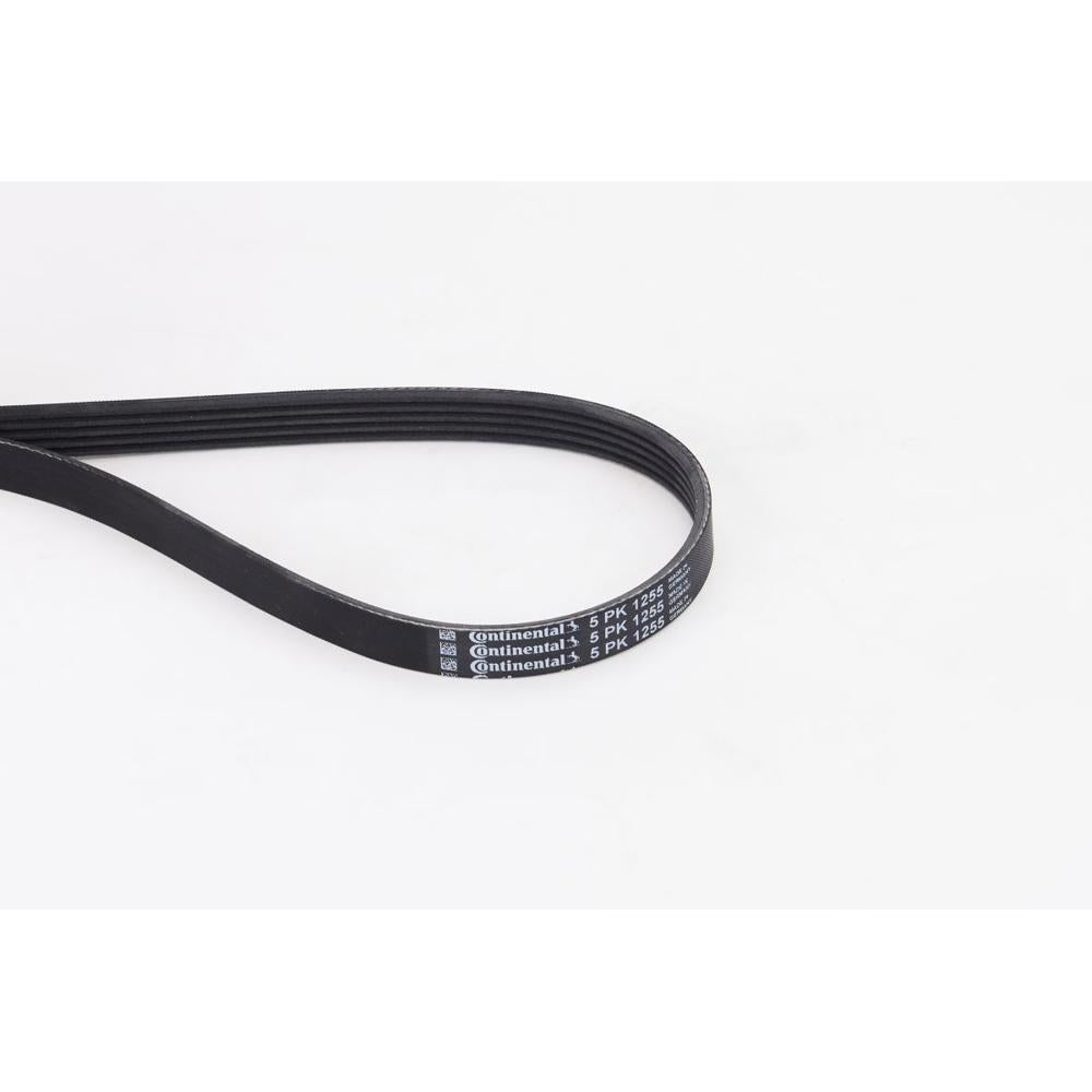 Conti - curea transmisie canelata Continental Ctam 5PK1255
