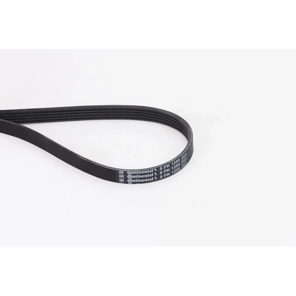 BELTPIC_5PK1255_jpg