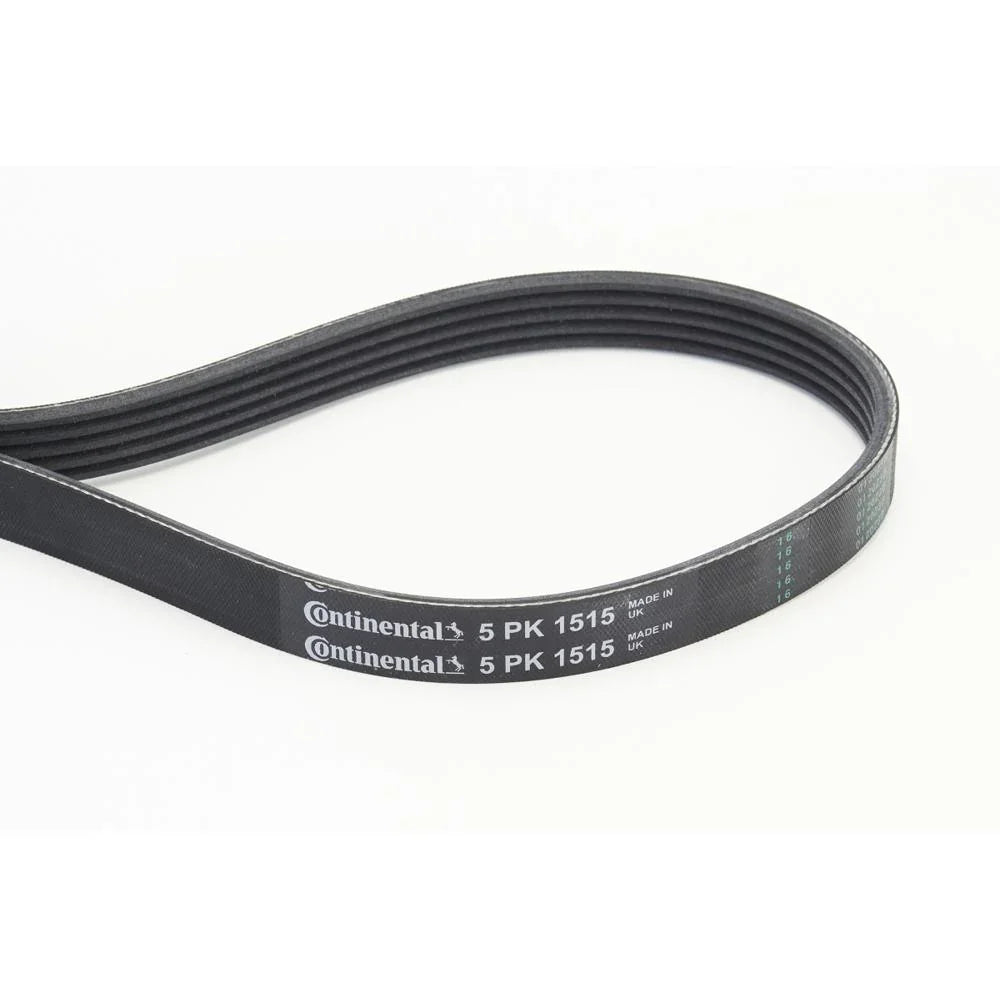 BELTPIC_5PK1515_jpg