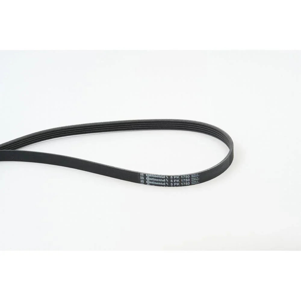 BELTPIC_5PK1750_jpg