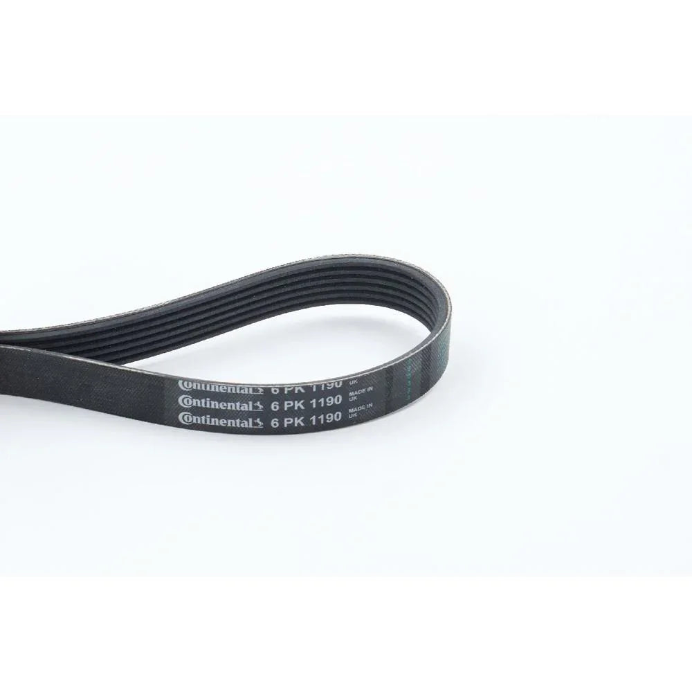 BELTPIC_6PK1190_jpg