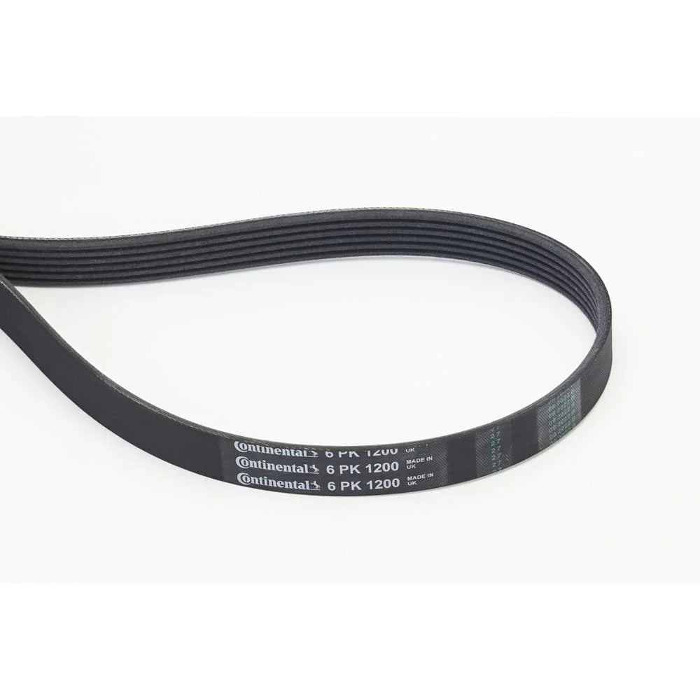 BELTPIC_6PK1200_jpg