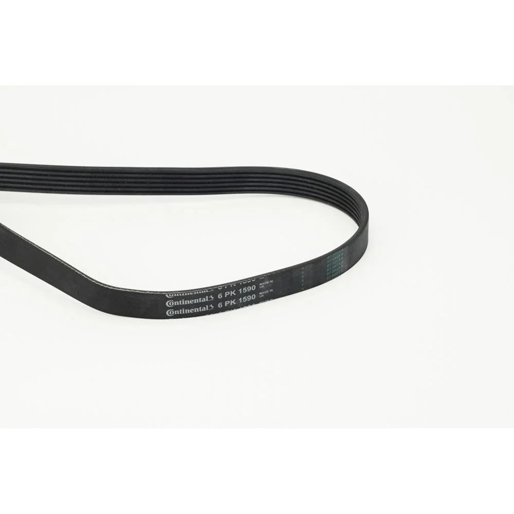 BELTPIC_6PK1590_jpg