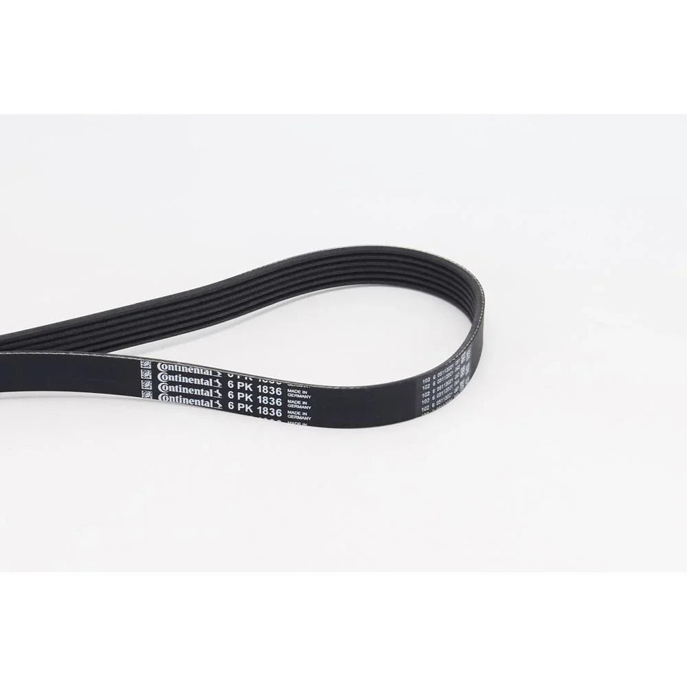 BELTPIC_6PK1836_jpg