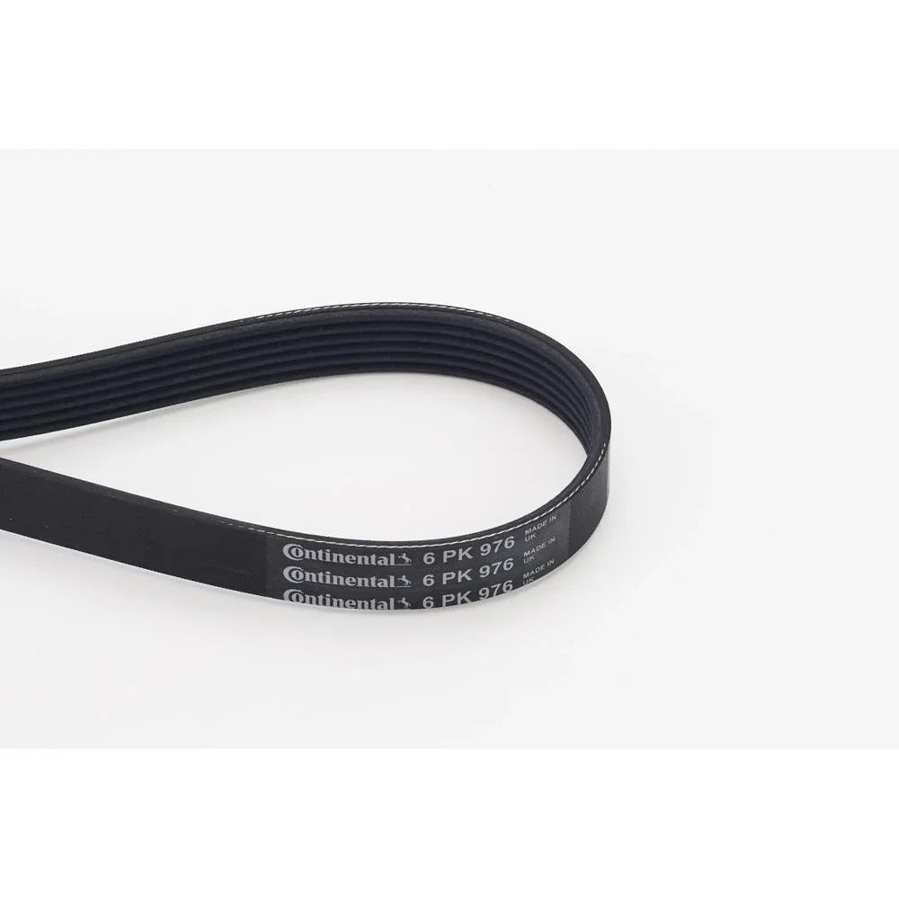 BELTPIC_6PK976_jpg