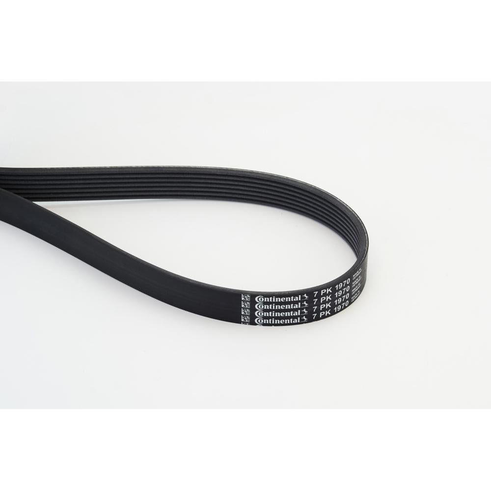 BELTPIC_7PK1970_jpg