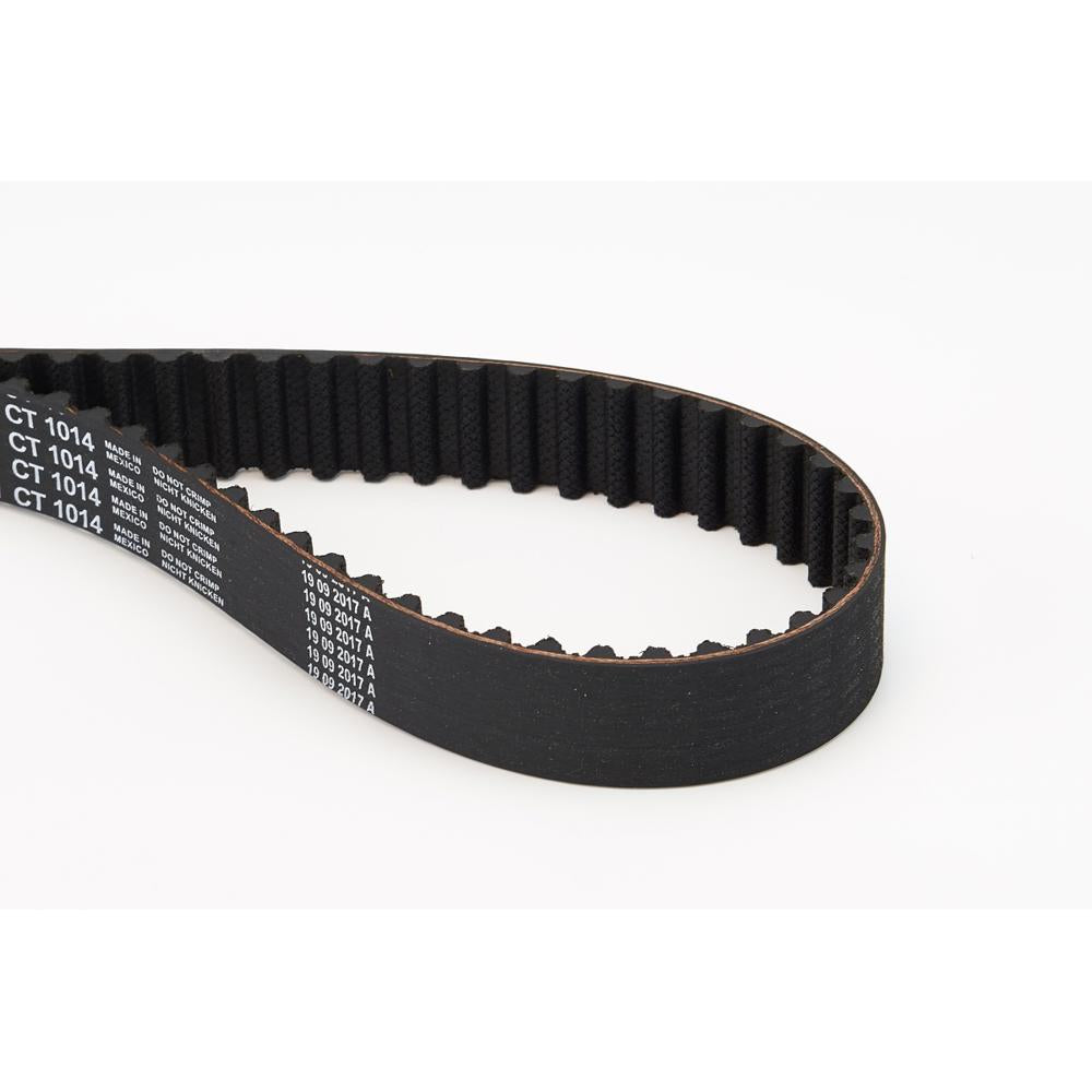 BELTPIC_CT1014_jpg