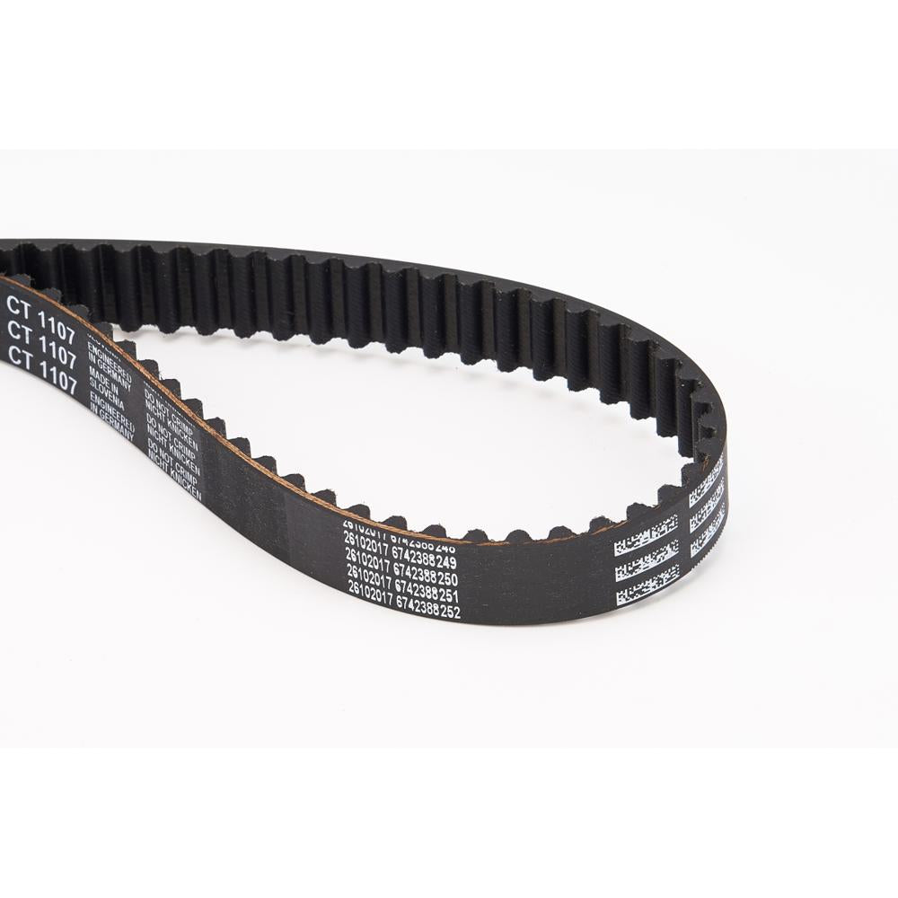 BELTPIC_CT1107_jpg