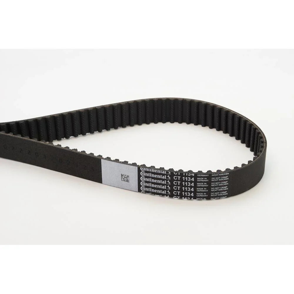 BELTPIC_CT1134_jpg