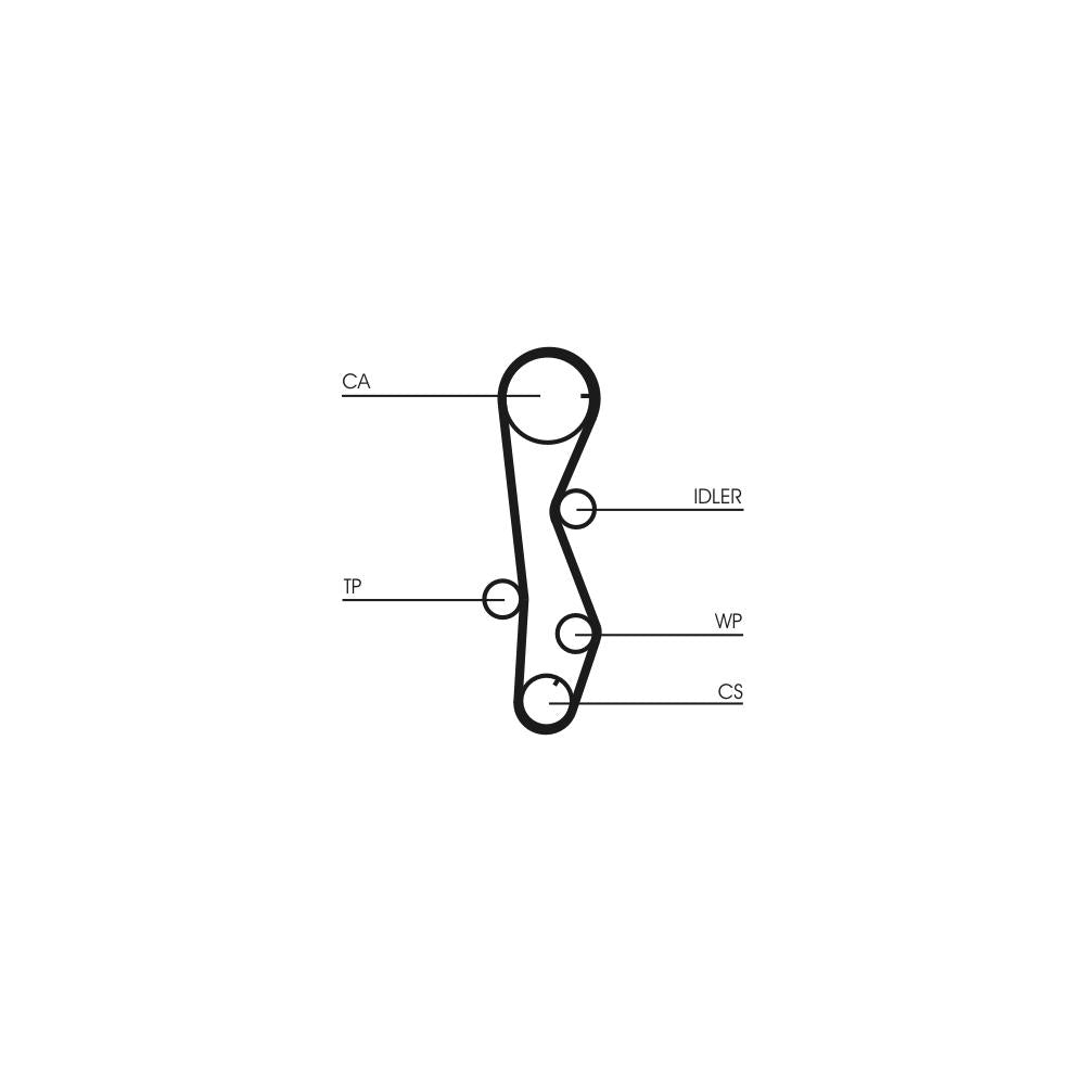 Conti - curea distributie Continental Ctam CT1099