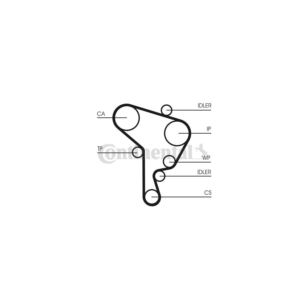 Conti - curea distributie Continental Ctam CT946