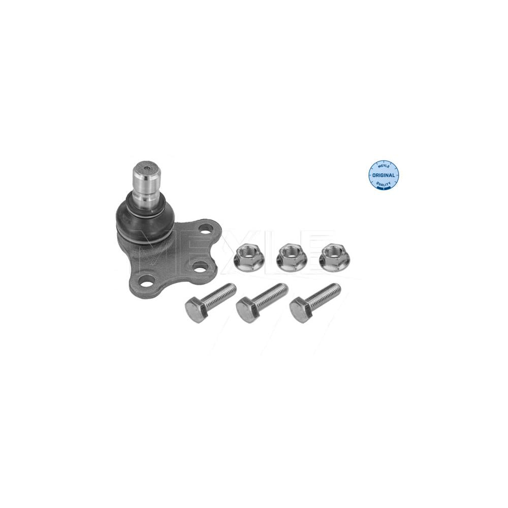 Pivot suspensie Meyle 11-16 010 0017