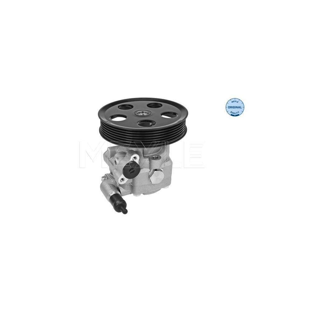 Pompa servodirectie Meyle 114 631 0040