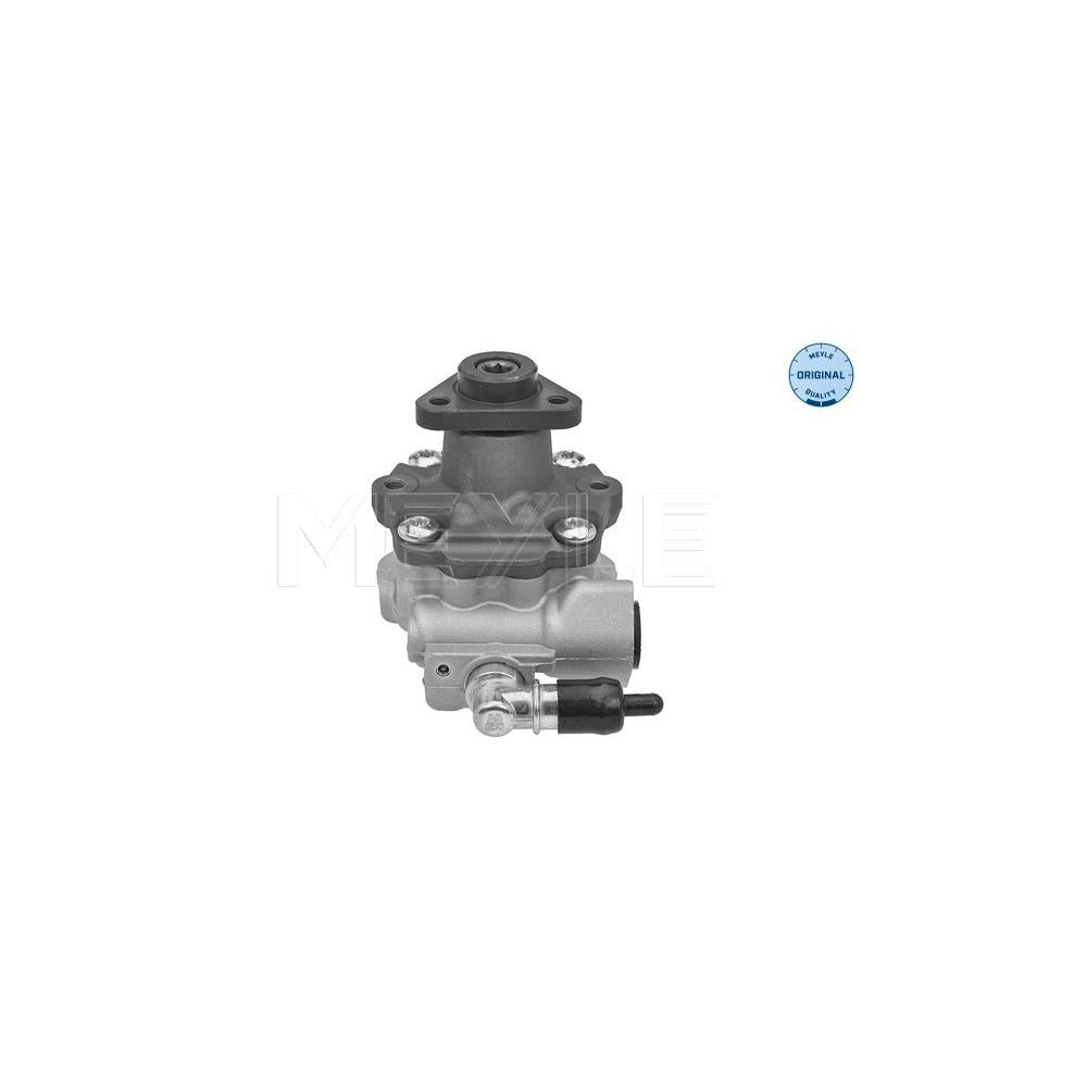 Pompa servodirectie Meyle 114 631 0048