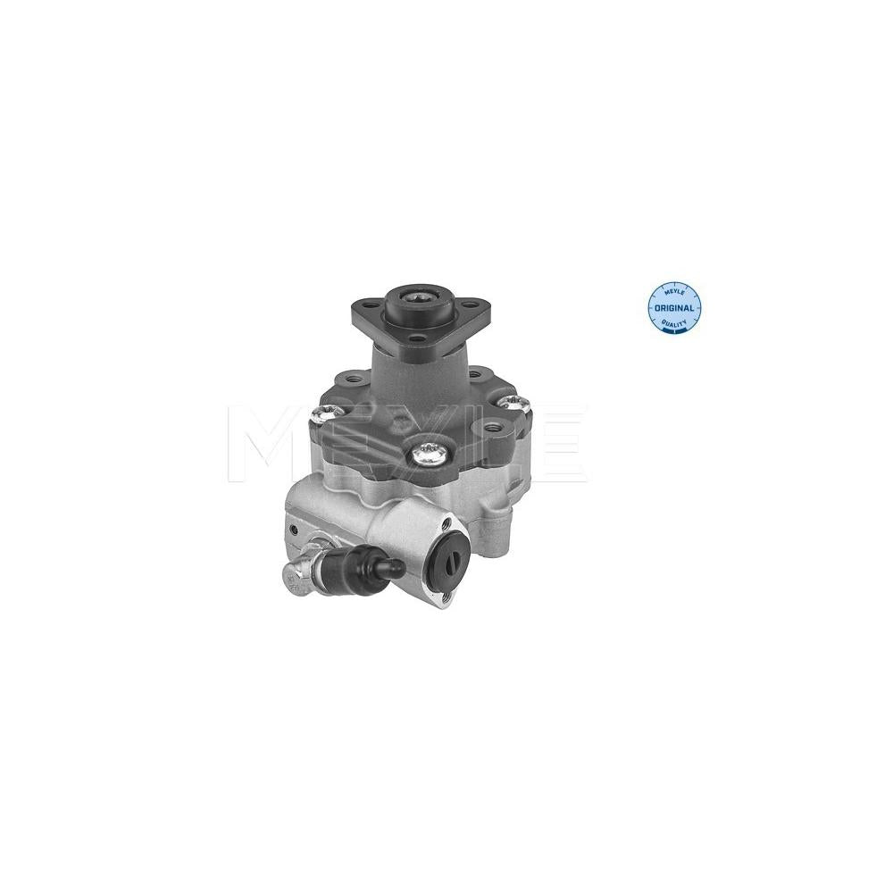 Pompa servodirectie Meyle 114 631 0055