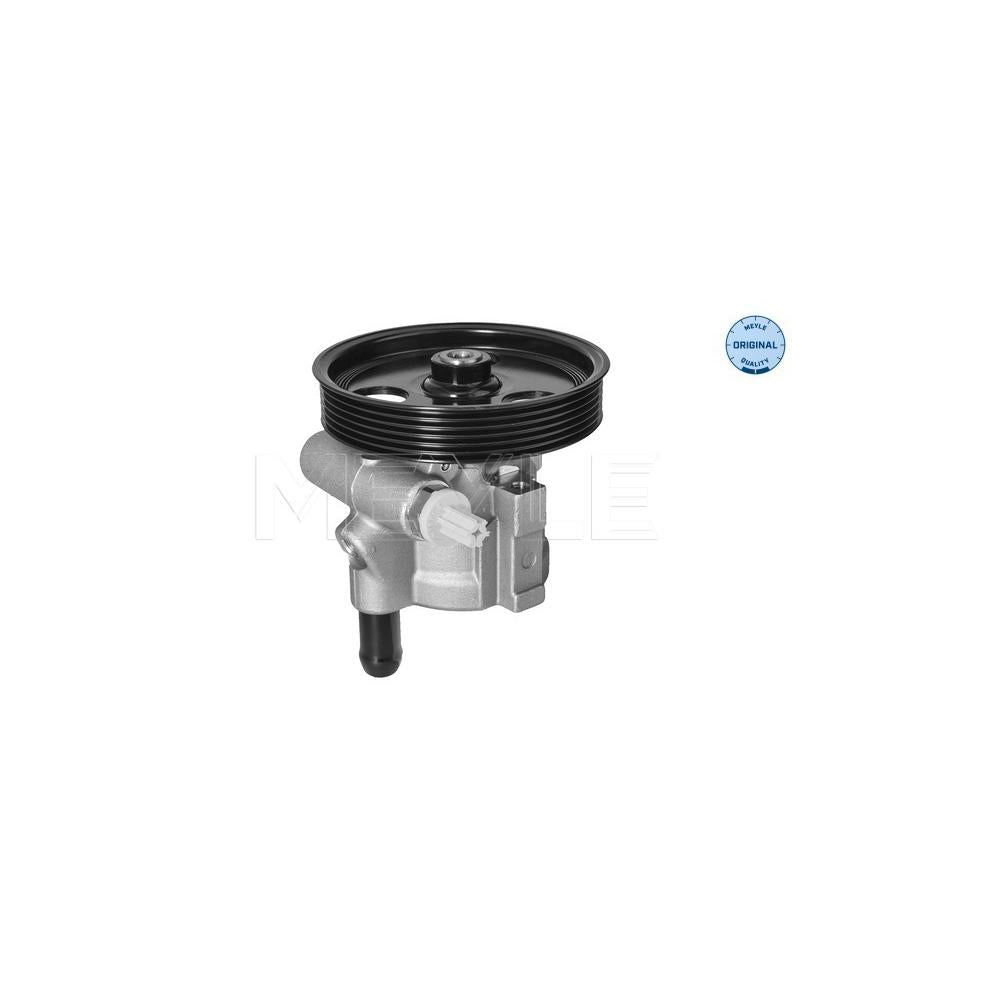 Pompa servodirectie Meyle 16-14 631 0006