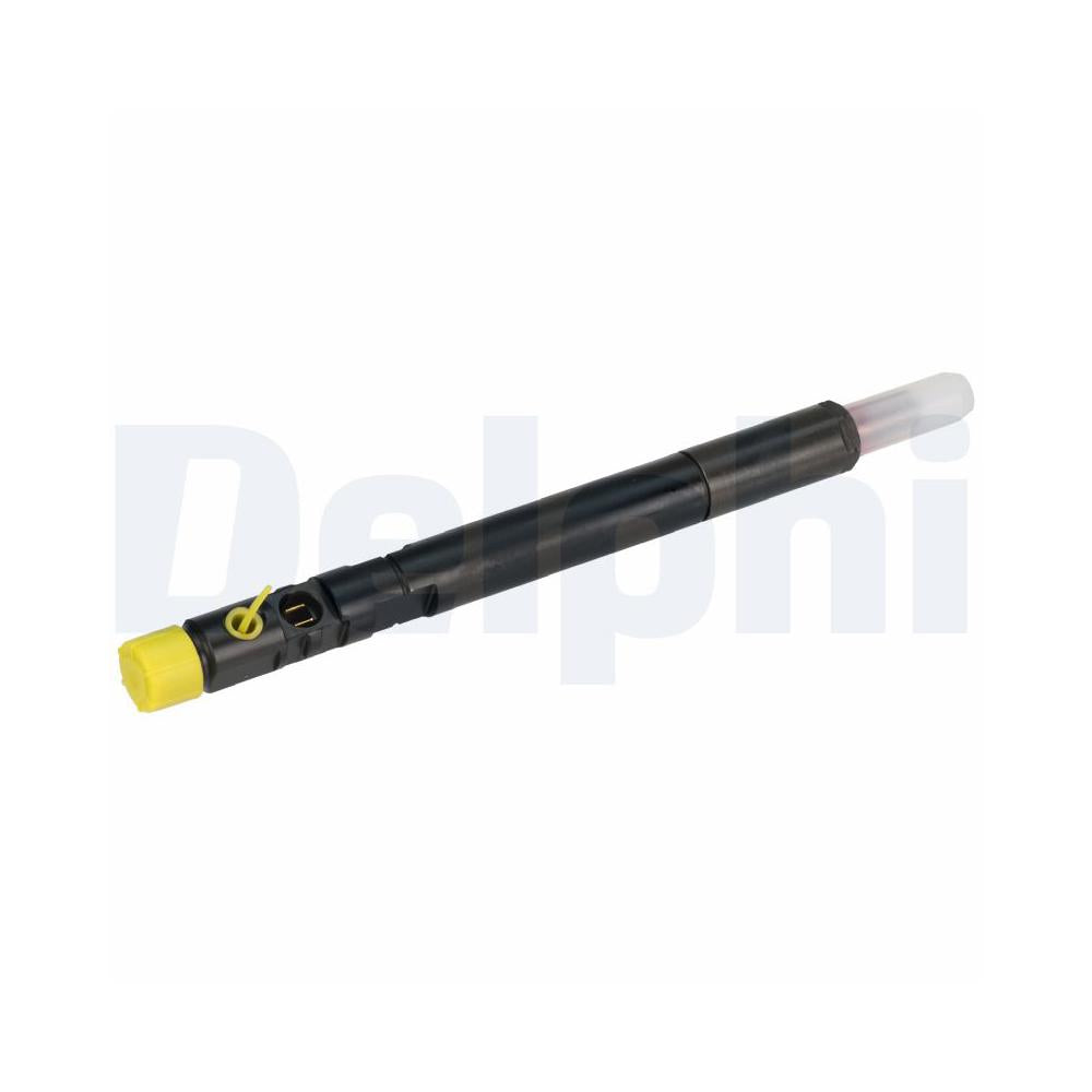 Injector Delphi R04201D