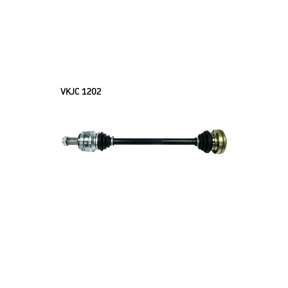 VKJC_201202_jpg