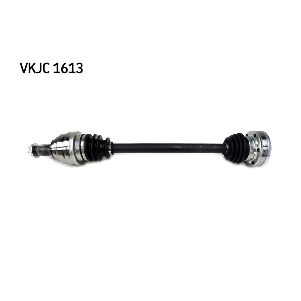 VKJC_201613_jpg