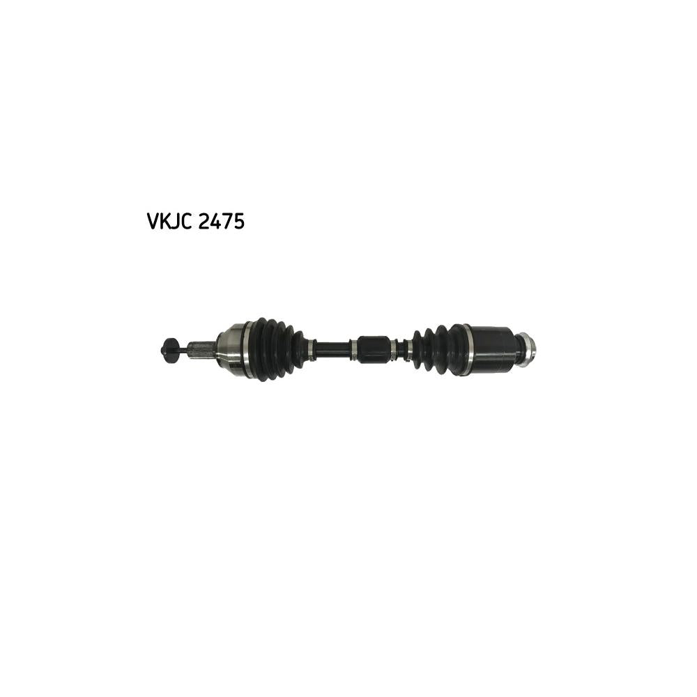 VKJC_202475_jpg