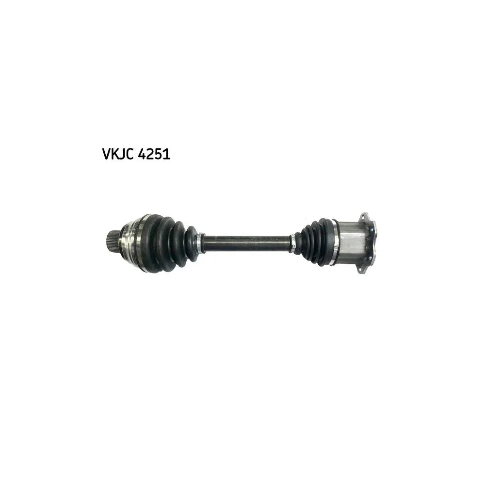 Planetara SKF VKJC 4251
