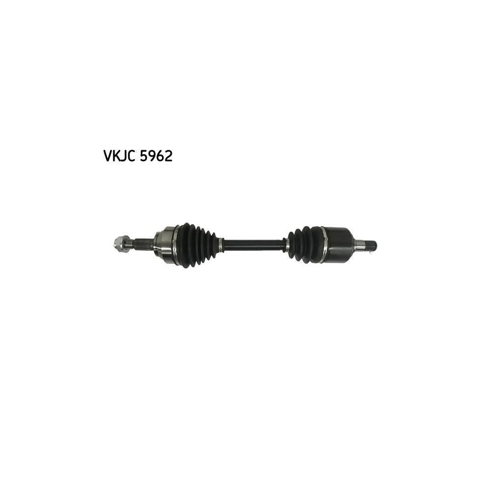 VKJC_205962_jpg