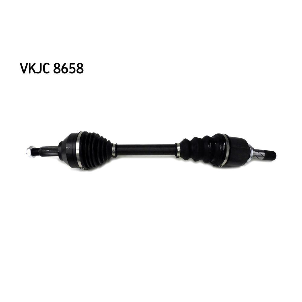 VKJC_208658_jpg