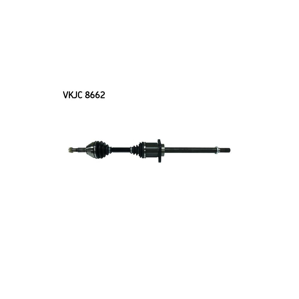 VKJC_208662_jpg