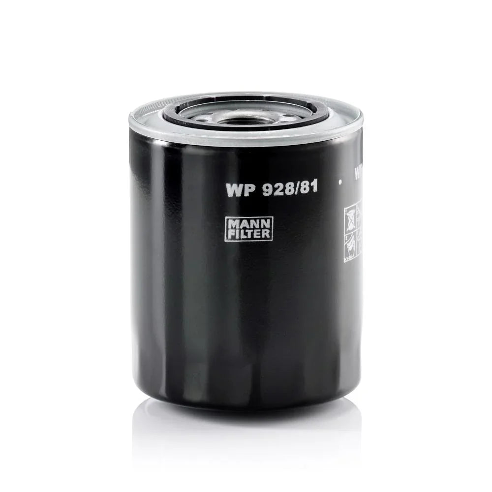 WP_928.81_jpg