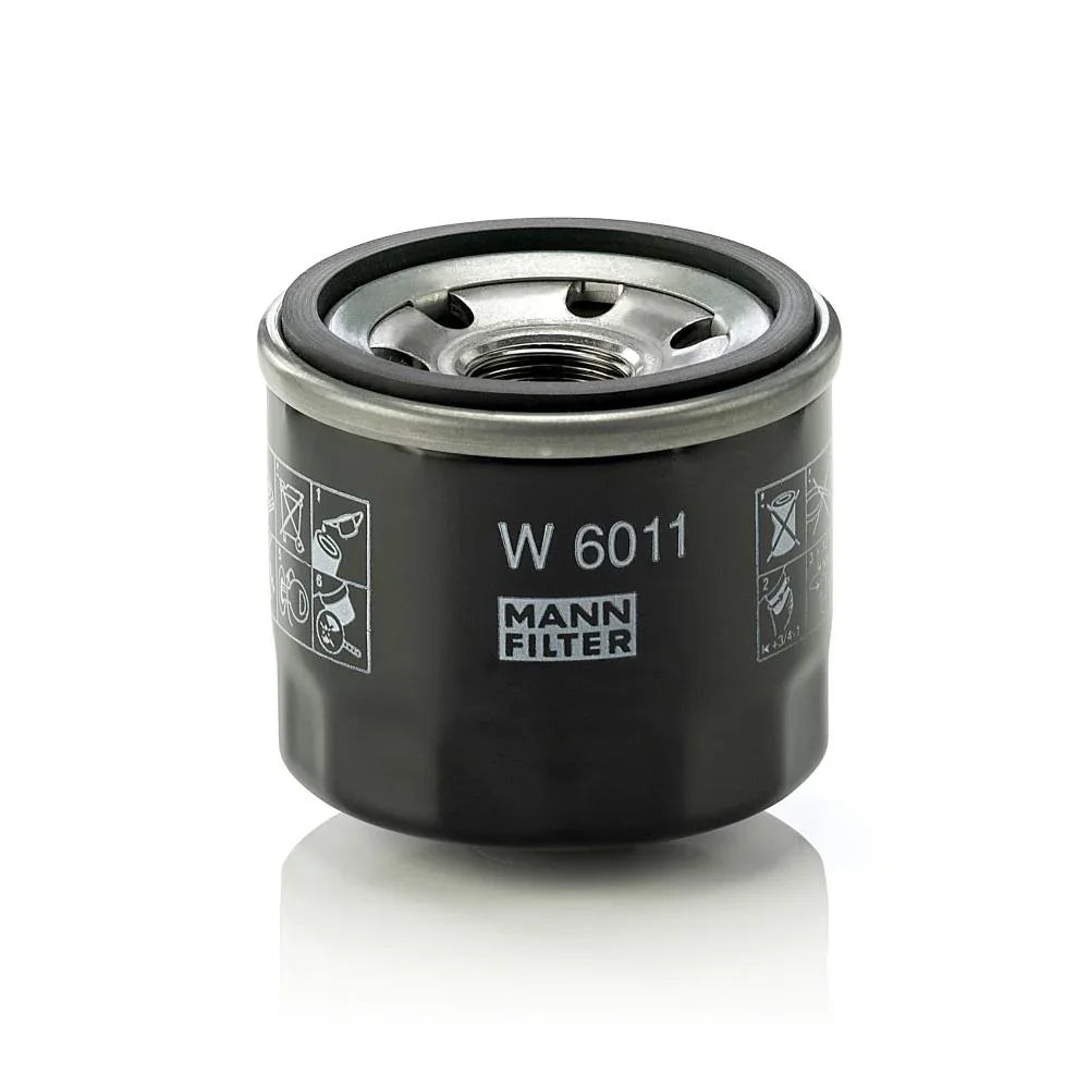 W_6011_jpg