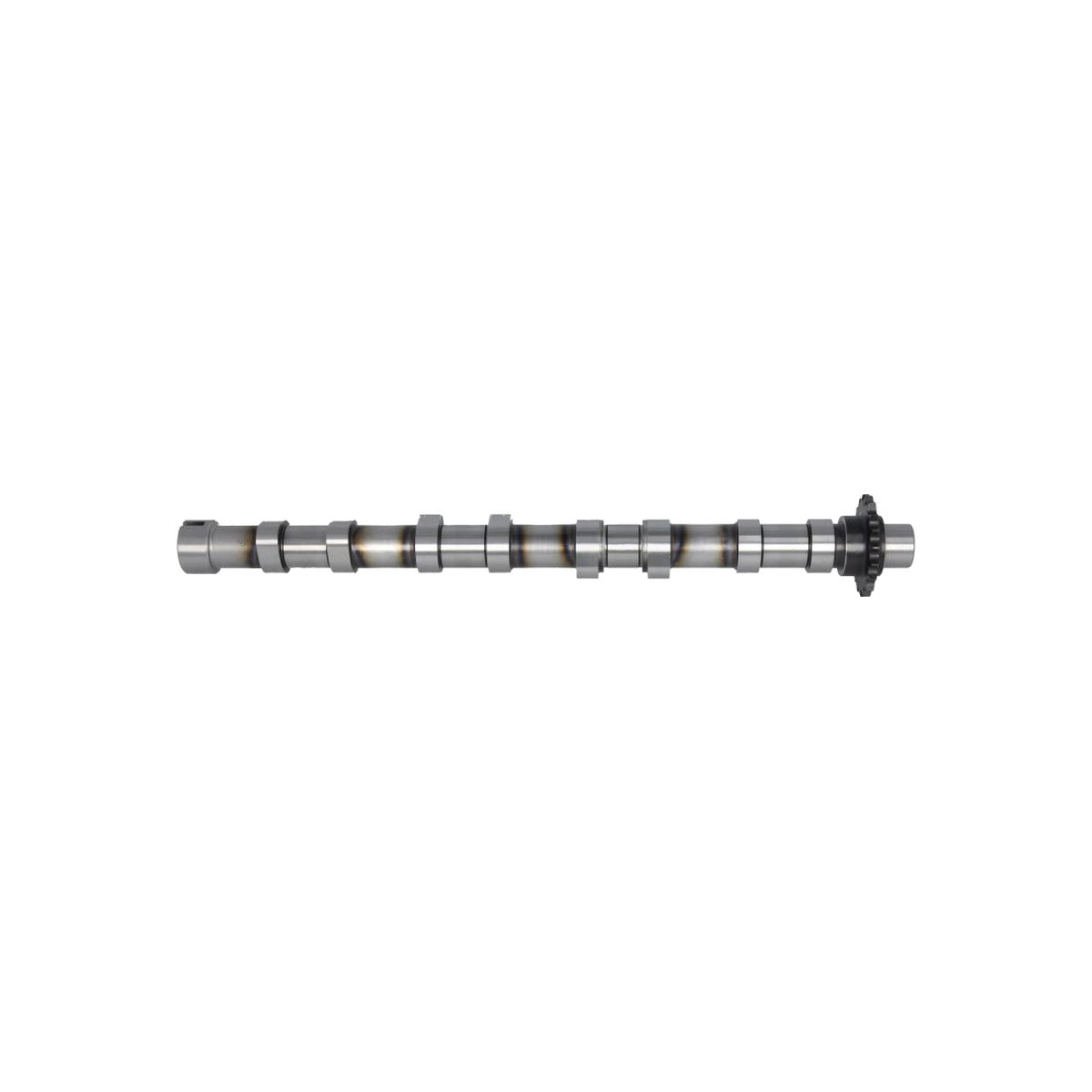 Ax came Freccia CM05-2373