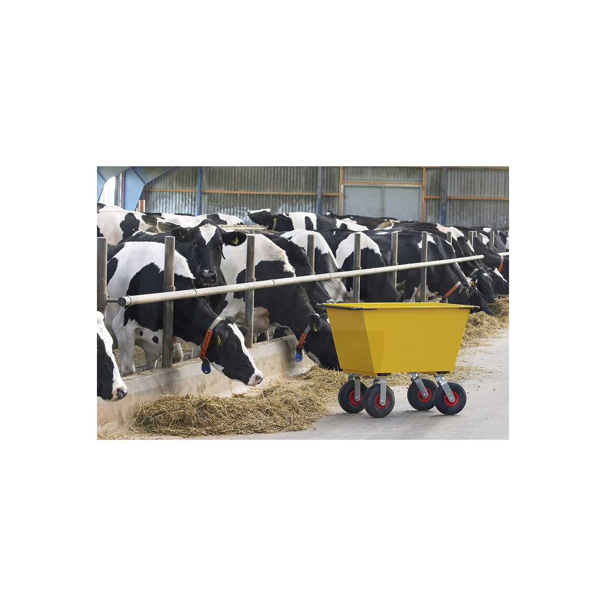 Carucior pentru nutret model FW 300-4L RAVENDO 500143175 – imagine 2