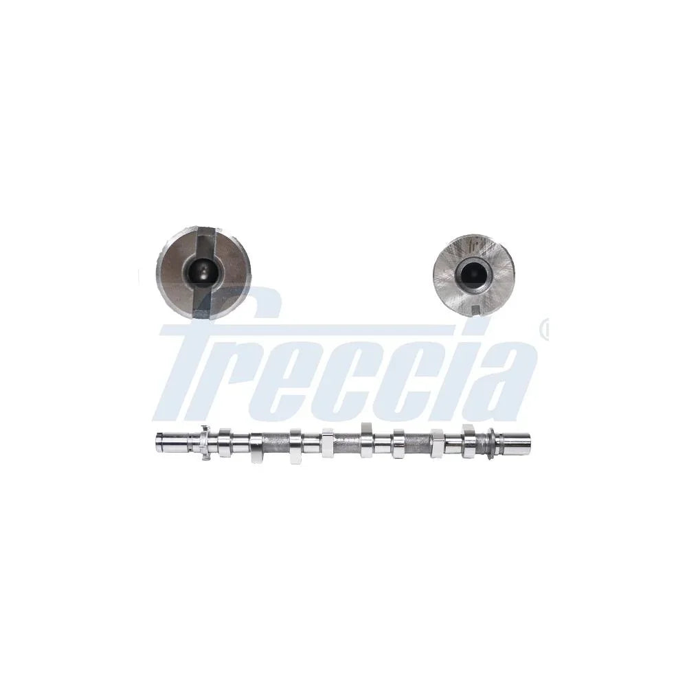 Ax came Freccia CM05-2185