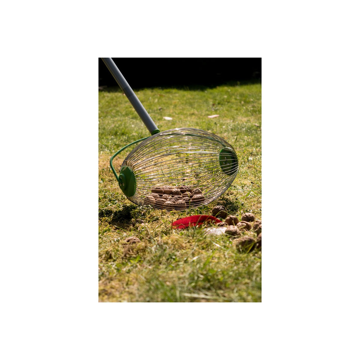 Colector fructe 68090 FREUND VICTORIA 7651990630 – imagine 2
