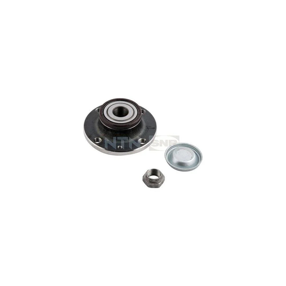 r16632-snr_1_jpg