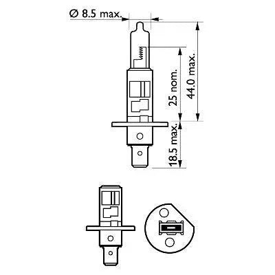 bec-far-h1-55w-12v-longer-life-ecovision-philips-2