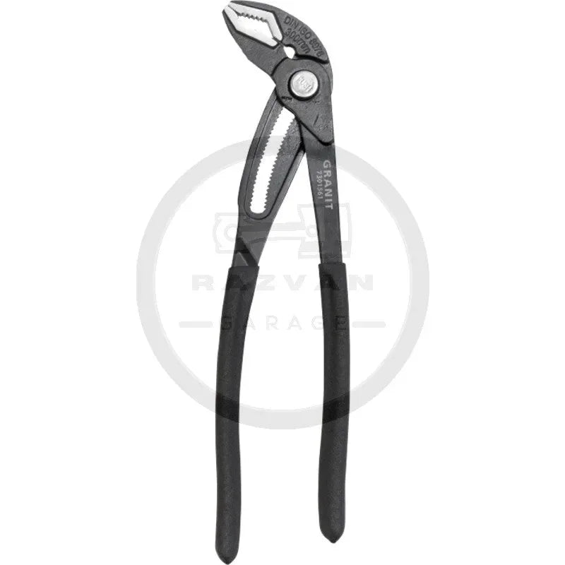 cleste-papagal-eliberare-rapida-300-1