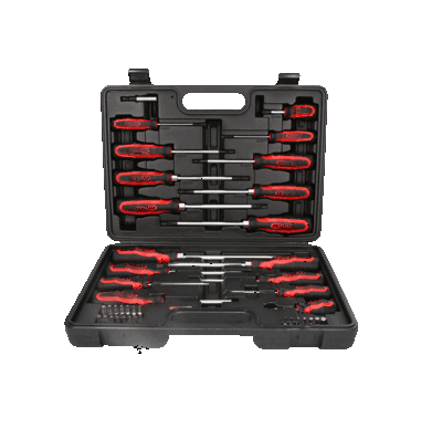 set-de-surubelnite-si-biti-ergotorqueplus-39-de-piese-2