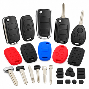 Carcase si accesorii chei auto