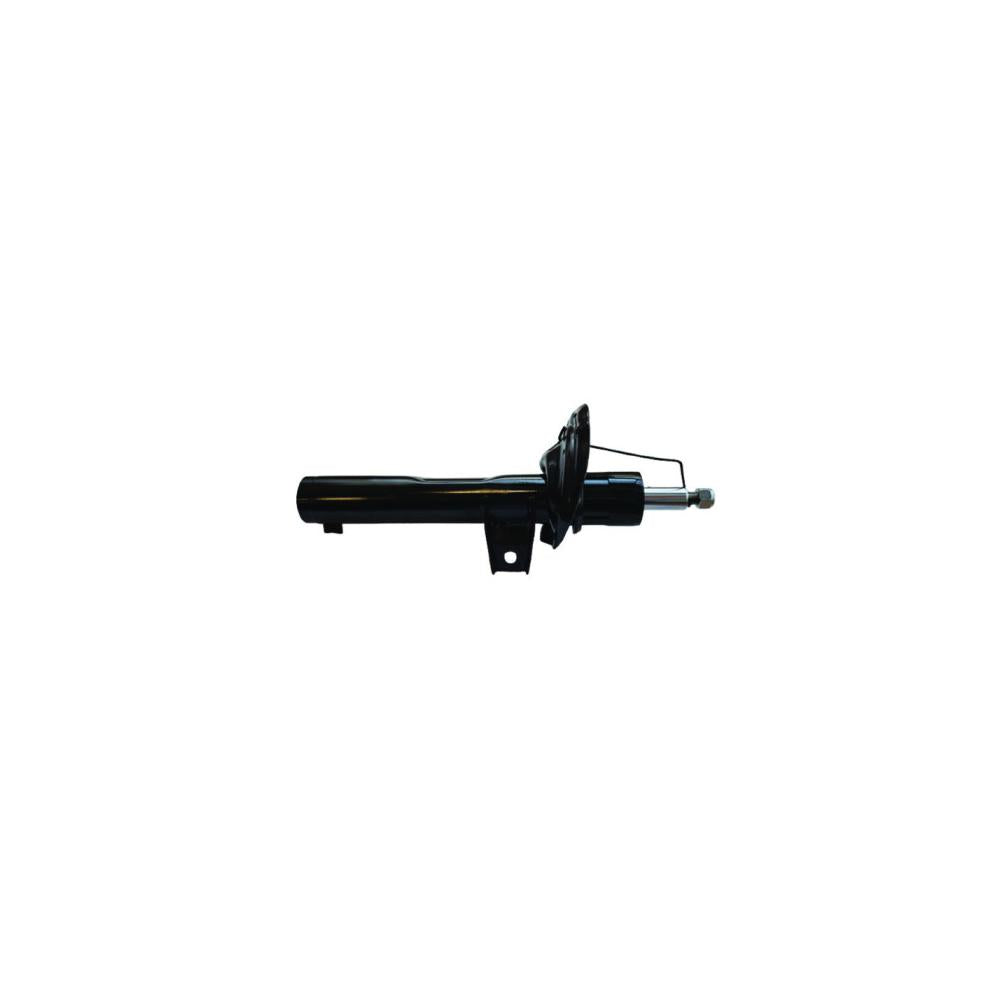 Amortizor fata g. Asam Automotive 05519