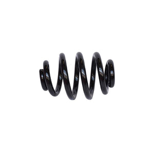 Arc suspensie spate Asam Automotive 05558