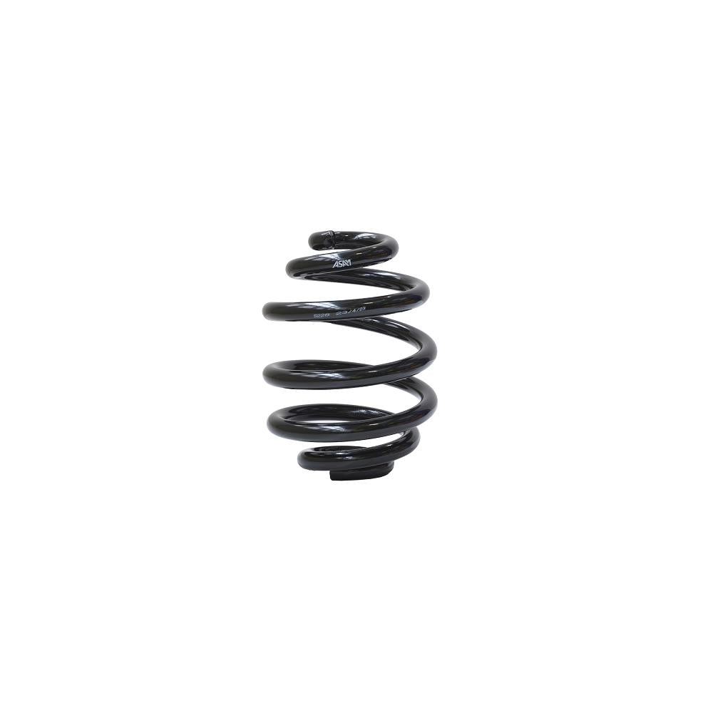 Arc suspensie spate Asam Automotive 05641
