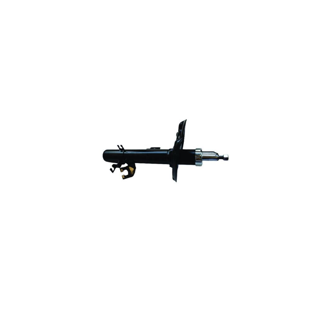 Amortizor fata dr. Asam Automotive 05650