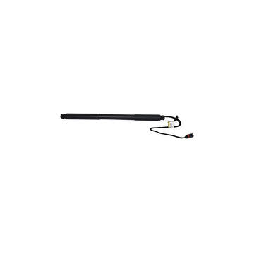 Amortizor portbagaj electric dr. Asam Automotive 100168