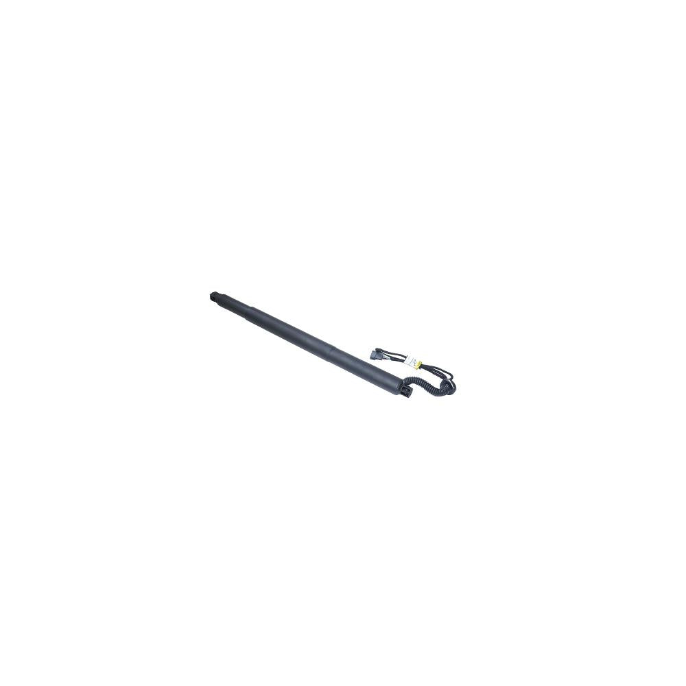 Amortizor portbagaj electric stg. Asam Automotive 100171